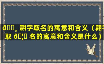 🌸 翾字取名的寓意和含义（翾字取 🦟 名的寓意和含义是什么）